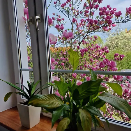 Apartament Magnolia Сопот