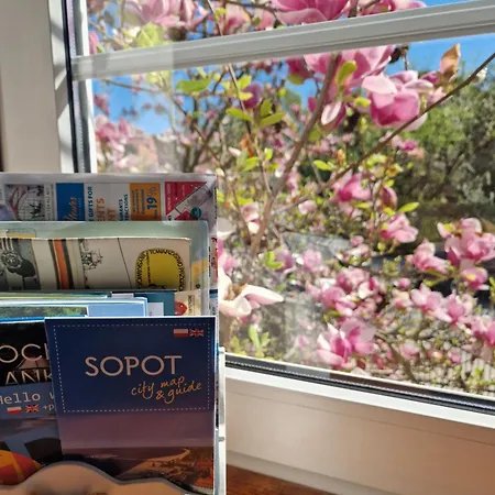 Magnolia * Sopot