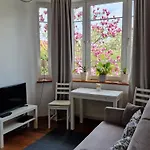 Magnolia