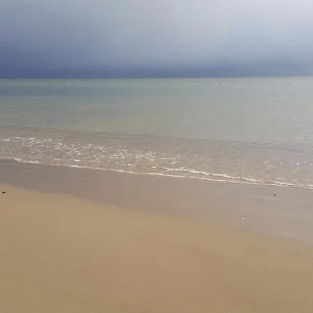 Magnolia * Σόποτ