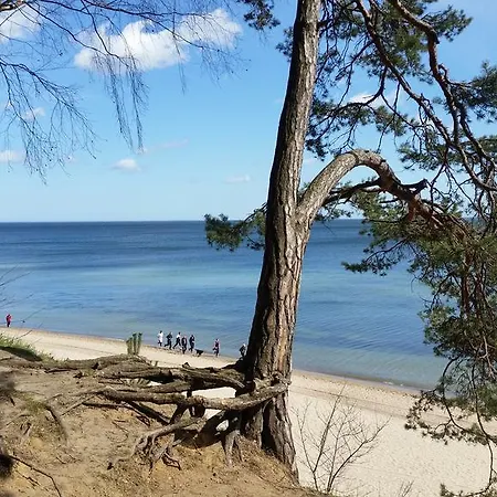 Magnolia Apartament *