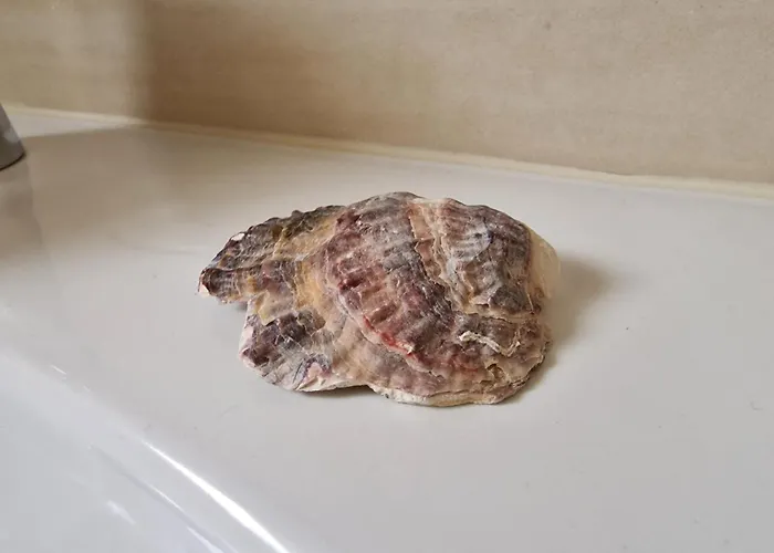 아파트 Magnolia *