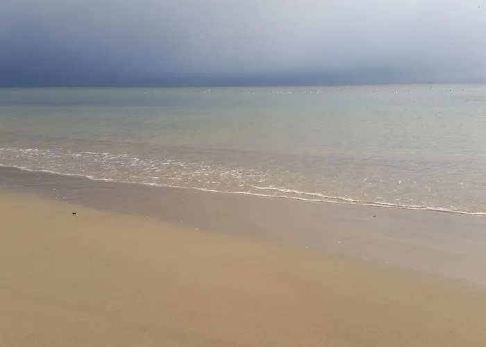 Magnolia * 소포트