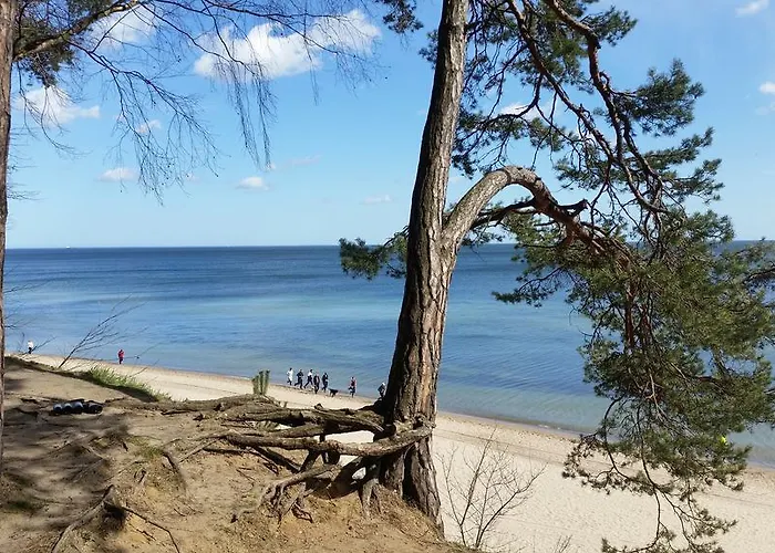 Magnolia 아파트 *